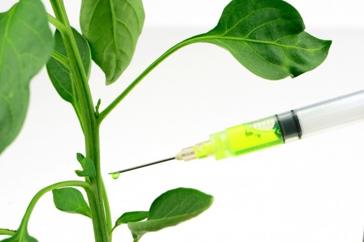 plant growth regulators genetic engineering of a plant using chemical injection